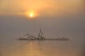 Misty Lake at Sunrise