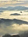 Misty landscape early in the morning