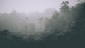 Mist: Enchanted Fir Forest in Retro Hipster Style