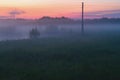 Misty landscape with forest, field and electric pole at sunset Royalty Free Stock Photo
