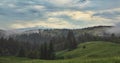 Misty landscape with mountains and fir forest, evening cloudy sky.