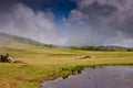 Misty landscape in a mystical athmosphere Royalty Free Stock Photo