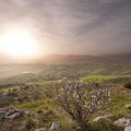 Misty Landscape Of Sicilian Hinterland Royalty Free Stock Photo