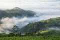 Misty landscape , foggy morning in the mountain , Thailand