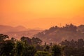 Misty Landscape During Sunset in Munnar Kerala Royalty Free Stock Photo