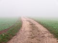 Misty landscape in Switzerland Royalty Free Stock Photo