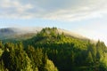 Misty landscape in SÃÂ¶sestausee