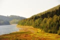 Misty landscape in SÃÂ¶sestausee Royalty Free Stock Photo