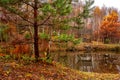 Misty late fall landscape, wild lake in the autumn forest with reflection in the calm water Royalty Free Stock Photo