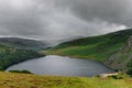 Misty Lough (Logh)Tay , republic of ireland, Europe