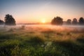 misty meadow, with a clear view of the sunrise, in serene and peaceful scene Royalty Free Stock Photo