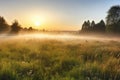 misty meadow, with a clear view of the sunrise, in serene and peaceful scene Royalty Free Stock Photo
