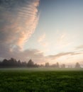 Misty meadow at dawn Royalty Free Stock Photo