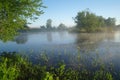 Misty meadow spring at sunrise Royalty Free Stock Photo