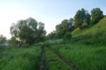 Misty meadow spring at sunrise Royalty Free Stock Photo