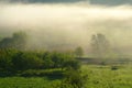 Misty meadow spring at sunrise Royalty Free Stock Photo