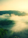 Misty melancholic morning. View into long deep valley full of fresh spring mist. Landscape within daybreak after rainy night Royalty Free Stock Photo