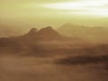 Misty melancholic morning. View over birch tree to deep valley full of heavy mist. Autumn landscape within daybreak.