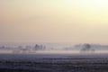 Misty moor landscape