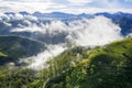 Misty morning above tea plantation highland Royalty Free Stock Photo