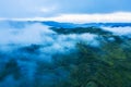 Misty morning above tea plantation hill Royalty Free Stock Photo