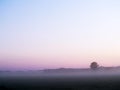 Misty morning across rural land