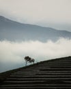 Misty morning at argapura majalengka Royalty Free Stock Photo