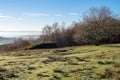 Misty morning in the Ashdown Forest