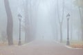 A misty morning autumn landscape, old park foggy alley. Great oak tree city park alley