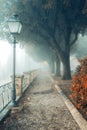 A misty morning autumn landscape, an old park foggy alley. Royalty Free Stock Photo