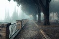 A misty morning autumn landscape, an old park foggy alley. Royalty Free Stock Photo