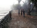 Misty morning in the Bengal countryside in Sundarban jungle, West Bengal, India.