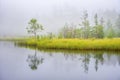 Misty morning at a bog lake with water reflections Royalty Free Stock Photo