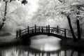 Misty Morning Bridge in a Serene Garden Royalty Free Stock Photo