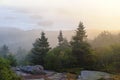 Misty morning Cadillac Mountain Royalty Free Stock Photo