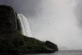Foggy Niagara Falls Bird Perch