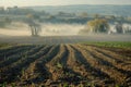 Misty Morning on Conservation Tillage Farm