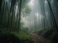 Misty Morning in a Dense Bamboo Forest