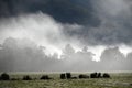 Misty morning on the farm Royalty Free Stock Photo