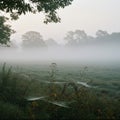 Misty Morning Field Landscape with Sunrise Royalty Free Stock Photo
