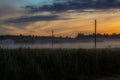 Misty morning the field