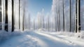 misty morning in the forest winter path though Forrest perspective Royalty Free Stock Photo