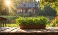 A misty morning garden scene with dew-kissed greenery, featuring an empty wooden table