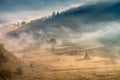 Misty morning in the heart of Transylvanian mountains , Fundatura Ponorului, Romania