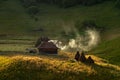 Misty morning in the heart of Transylvanian mountains , Fundatura Ponorului, Romania