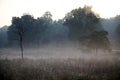 Misty Morning in Kanha National Park India