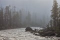 Misty morning on the Kicking Horse Rive