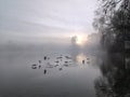 Misty morning on the lake - crepuscular light at sunrise Royalty Free Stock Photo