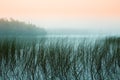 Misty Morning at a Lake Royalty Free Stock Photo