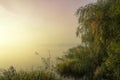 Misty morning on the lake. Dawn in the fog. Forest reflected in the calm water. Royalty Free Stock Photo